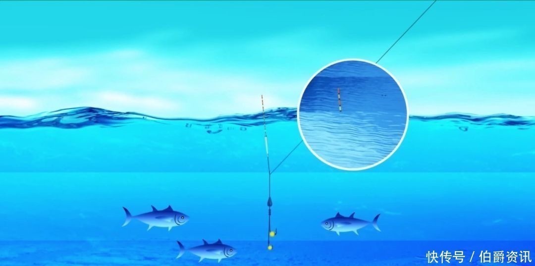 鲫鱼|鲫鱼钓了58余年,总结了这套顺口溜,学会包你百钓不厌!