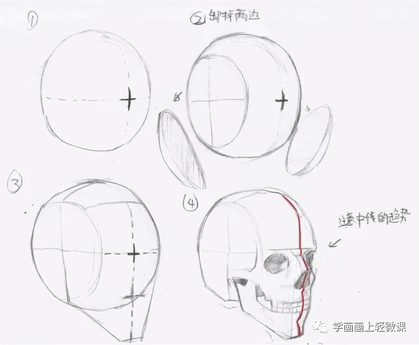 教程|人物头部绘法教程,练起来!