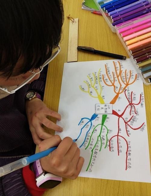 哈佛|右脑发达的孩子,是学霸潜力股,哈佛教授:三岁前用五分钟暗示法