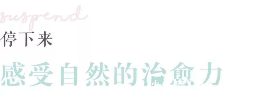 云南|“实力融创·大理的小院子”荣获2021ELA年度治愈景观银奖