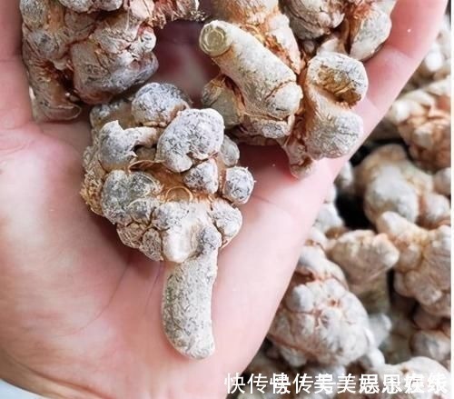 银杏果|4种中药别乱吃!已被医生列入伤肝“黑名单”,伤肝又伤肾