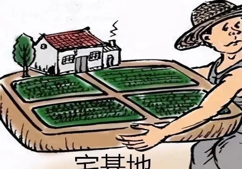 继承|户口从村里迁走，宅基地到底能不能继承？