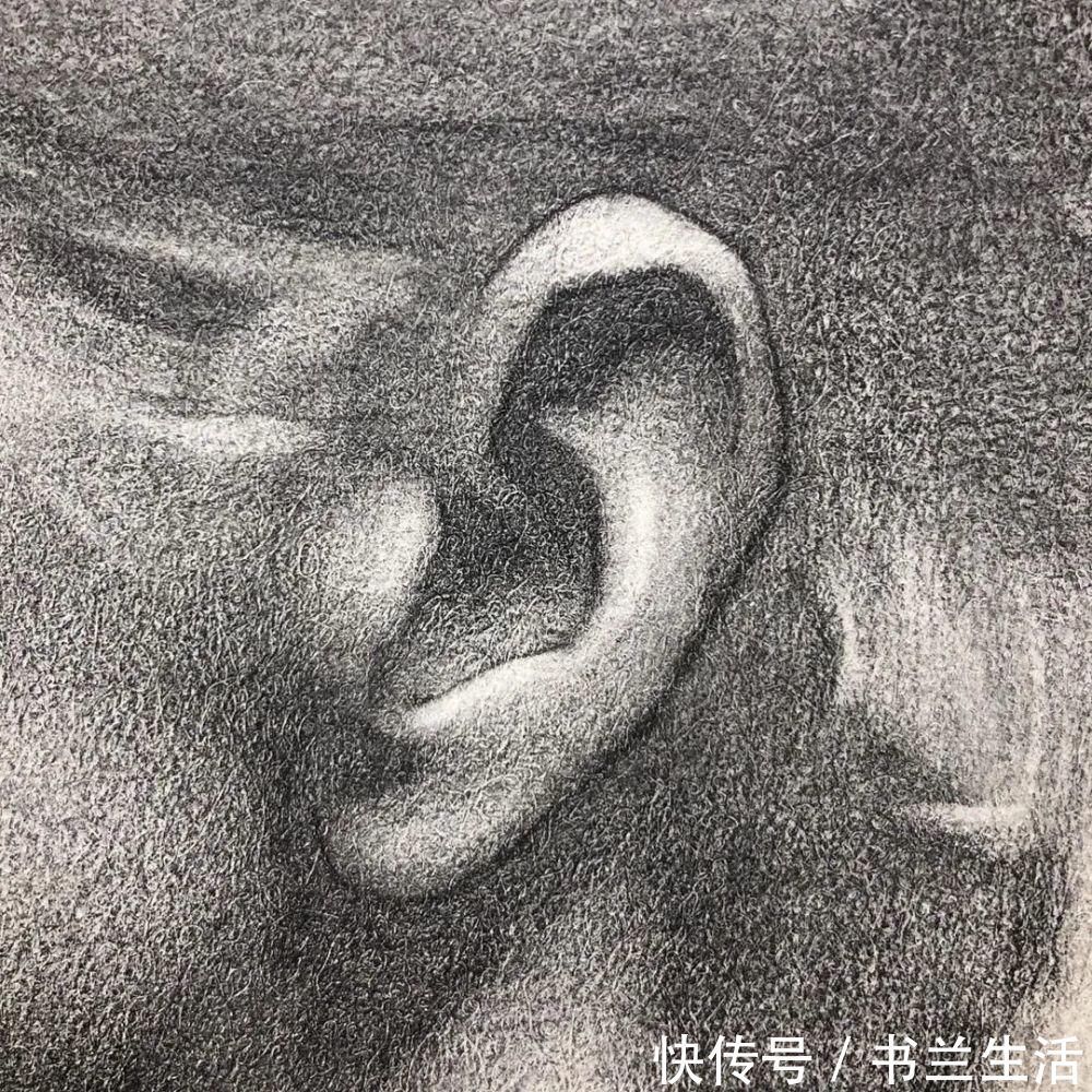 斯蒂芬$很硬核,一张素描500万网友围观,绝美线条让你欲罢不能,看一百遍都不腻!