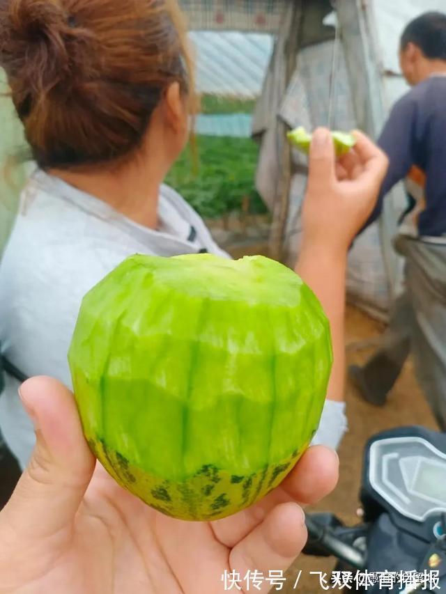 水煎包|徐州人,哪怕你在外混得再好,看到老家的这些,还不是照样流口水