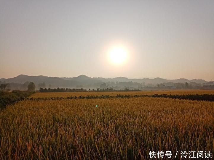 怀才不遇|好听驴鸣的王粲，因其貌不扬错失机会怀才不遇，还是大器晚成