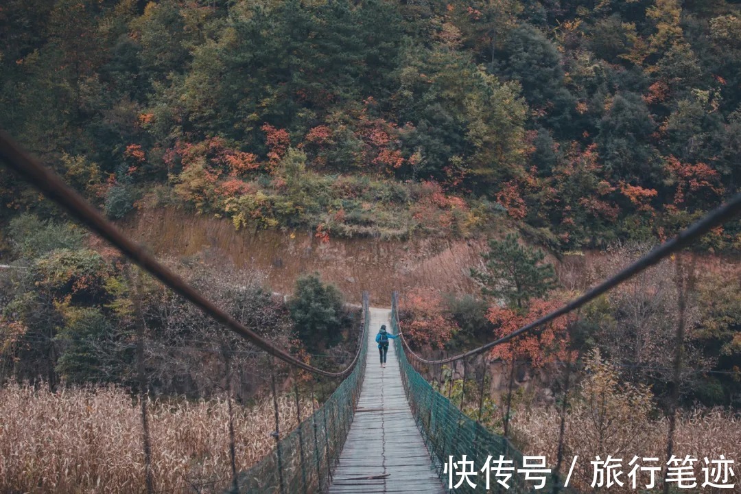 许家山|秘境徒步｜秦岭留坝深处这四条线路，惊艳了整个秋天