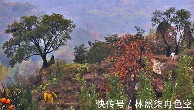 庄稼|“早立秋凉飕飕、晚立秋热死牛”,明天立秋,今夏还要热多久?