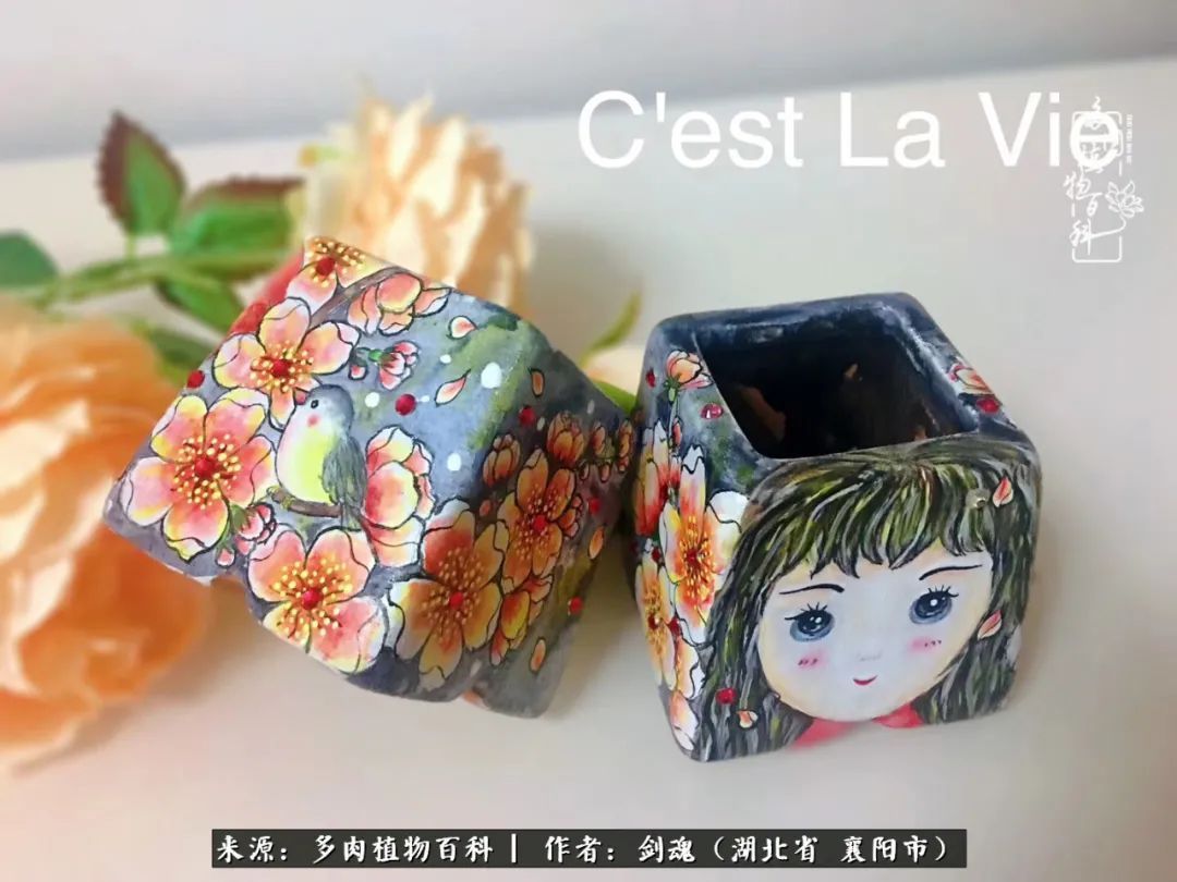 花盆|当美丽的多肉邂逅漂亮的手绘花盆,会是怎样的一种美