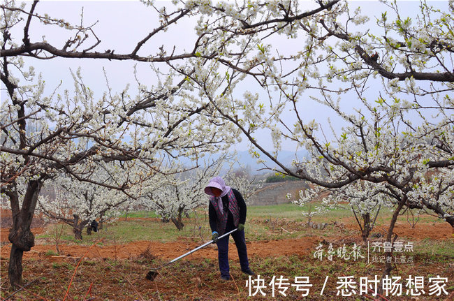 芳华|拥抱今天，不负芳华！你，就是这春光中最好的风景