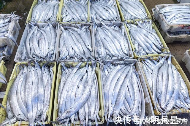 摊主|买带鱼时,记住4买3不买,摊主不敢忽悠你,好带鱼一挑一个准