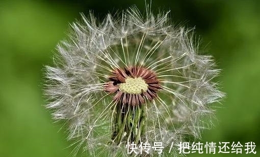 悲伤|近几天，财运上升，不再悲伤，失而复得，旧爱靠近，执手相爱到老