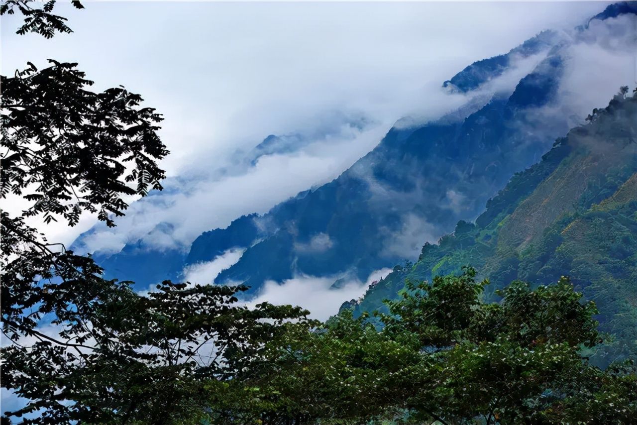 龙门山脉|走进天府旅游名村｜枕山望水，茶香悠悠