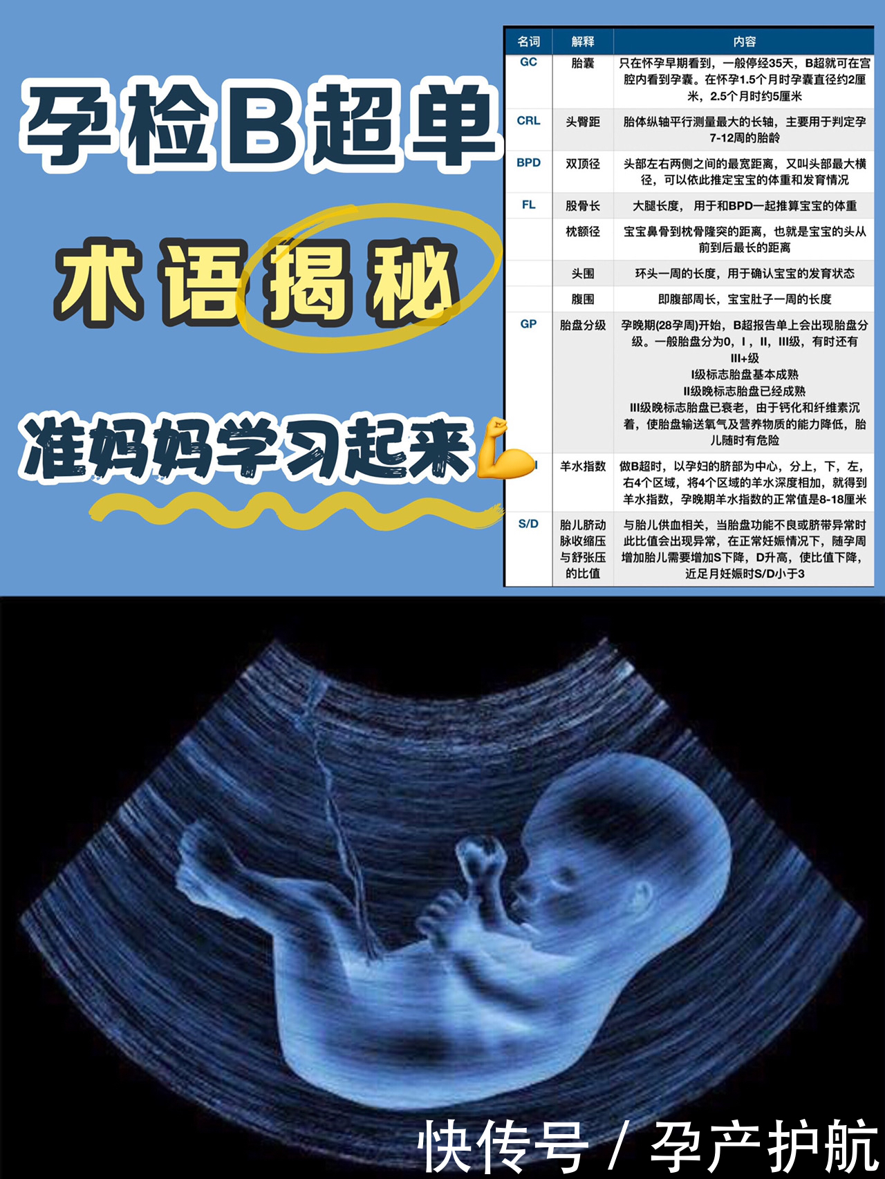 术语大揭秘|手把手教你看懂孕检B超单| 产科医生