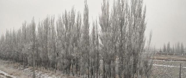 托马斯|英国作家托马斯.哈代的小说我拥有两部