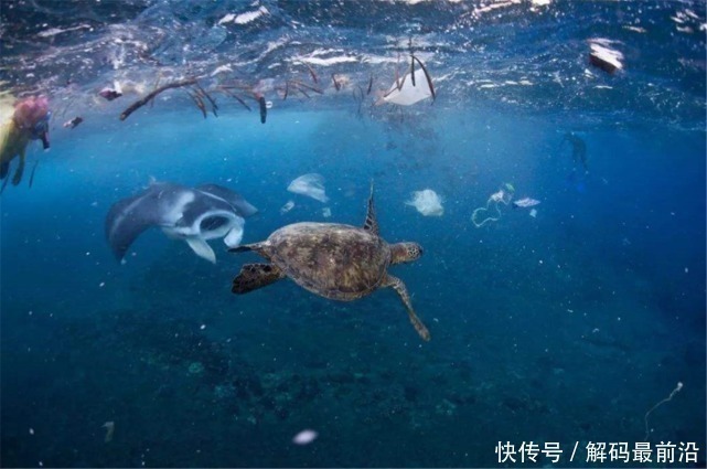 体积 “海上巨兽”向中国逼近,体积庞大堪比陆地,未来还将膨胀9倍