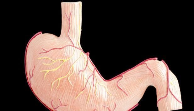 结直肠息肉|四个部位的小病要及时治疗，如果拖就会变成恶性肿瘤！了解一下！