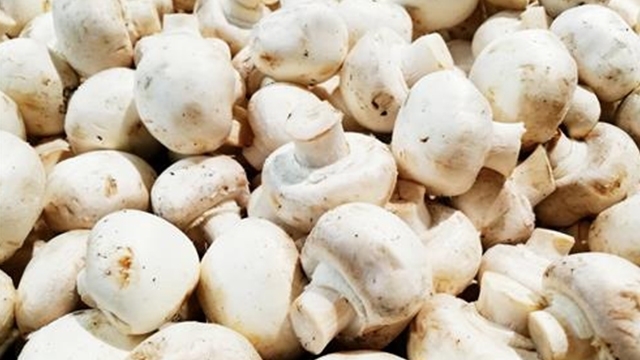 老人|91岁老人每天必吃的3种“碱性食物”,不仅排肝毒,还疏肝气