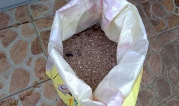 花盆里放一个小玩意,盆土常年透气不板结,盆栽长得壮开花多