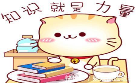 |幽默笑话：经过无数次的内心挣扎，我终于鼓起勇气向女神表白