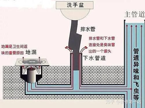 为什么你的卫生间里总有难闻的异味？