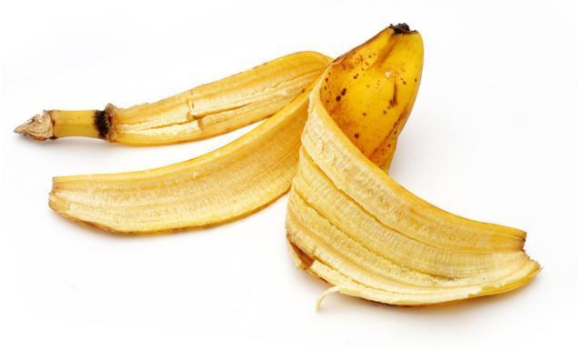 养花人都会的妙招:将它们变废为宝,既省钱又实用