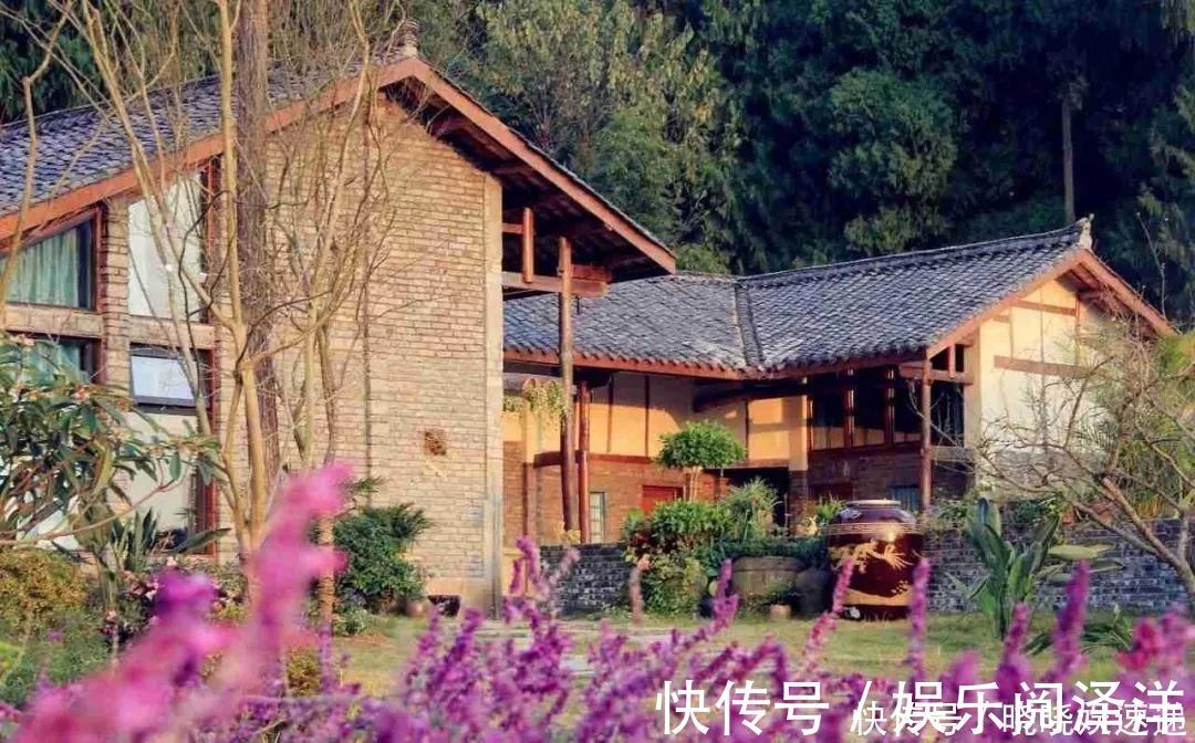 在乡下改造一个小院,种菜养花天天都是乡村田园梦,生活如此惬意