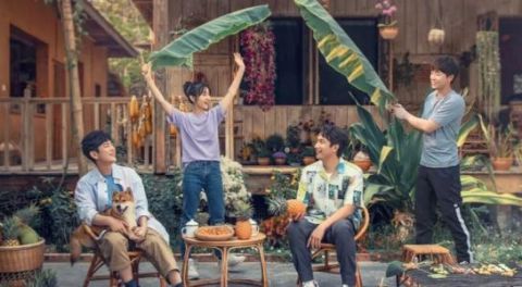 節目|本來想看王冰冰的，沒想到被節目吸了粉