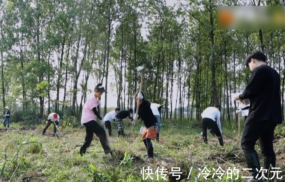 蘑菇|嘉賓們圍坐休息,張子楓卻和梁靖康單獨聊天,這對CP戲外有點甜