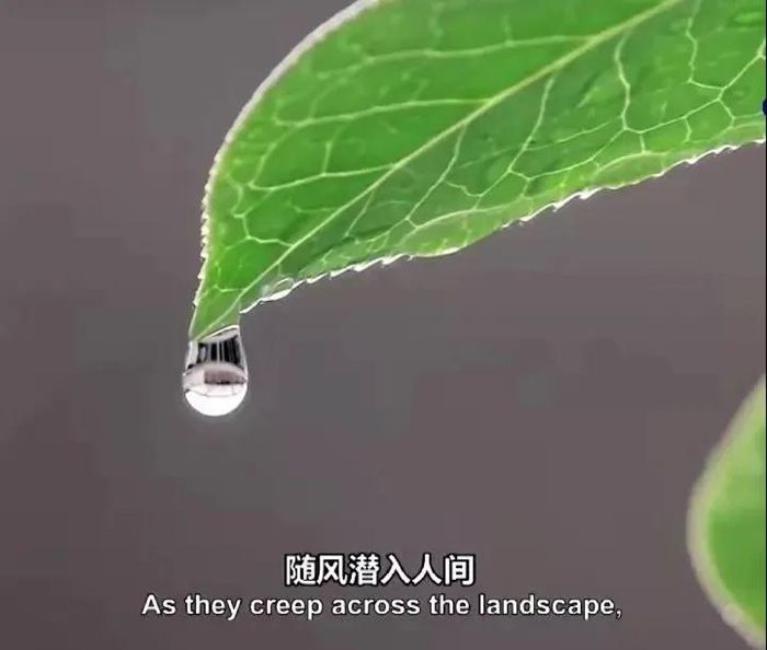 天街小雨润如酥|新华全媒+丨在中国古诗词里，寻找北京冬奥的“节气密码”