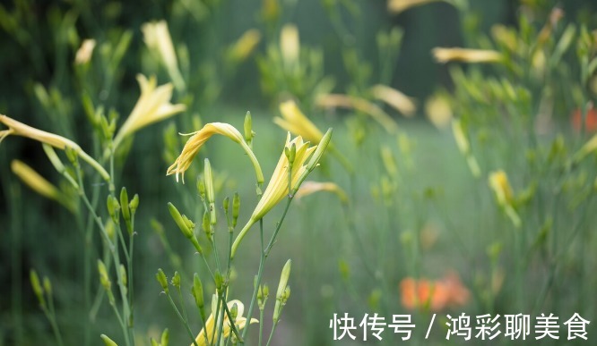 冬天|夏天农村人将这9种蔬菜晒干，3种焯水晒、6种直接晒，冬天炖肉香