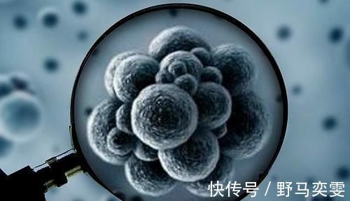 手術切除|甲狀腺癌做了手術容易復發嗎？做好這3點，防止癌細胞卷土重來