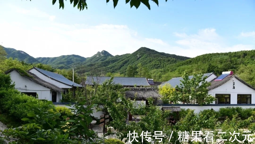 王俐|服装设计师兼花园设计师,裁剪最美的花园时光