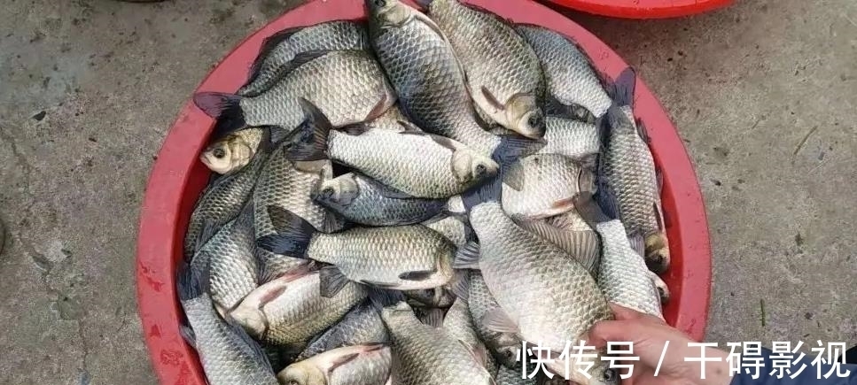 钓友|冬季鲫鱼晒太阳不咬钩,换饵,换漂皆无用,别瞎折腾了用这招吧