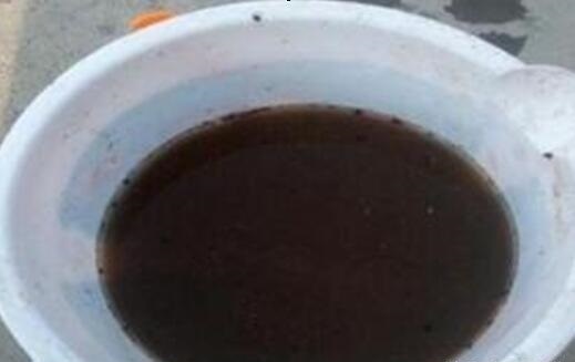 淘米水、黄豆水都别用,自制1种“营养液”浇花,不生虫、无臭味