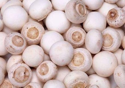 冬天养生很关键,推荐三种食物,排毒抗衰,呵护肌肤,营养又瘦身