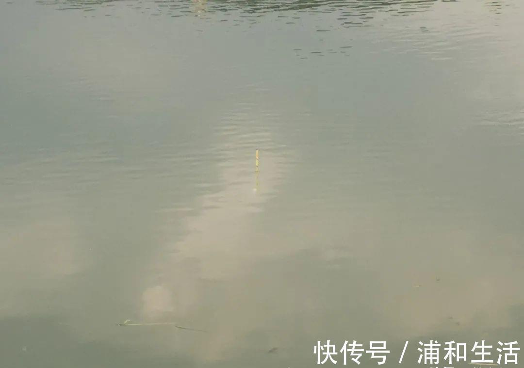 浮漂|盯紧你的浮漂！冬天野钓别等黑漂，这样的小信号也能中鱼