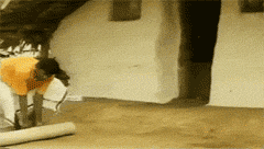 GIF|搞笑GIF:这绝对是个天才章鱼,并且添加了逃脱技能。