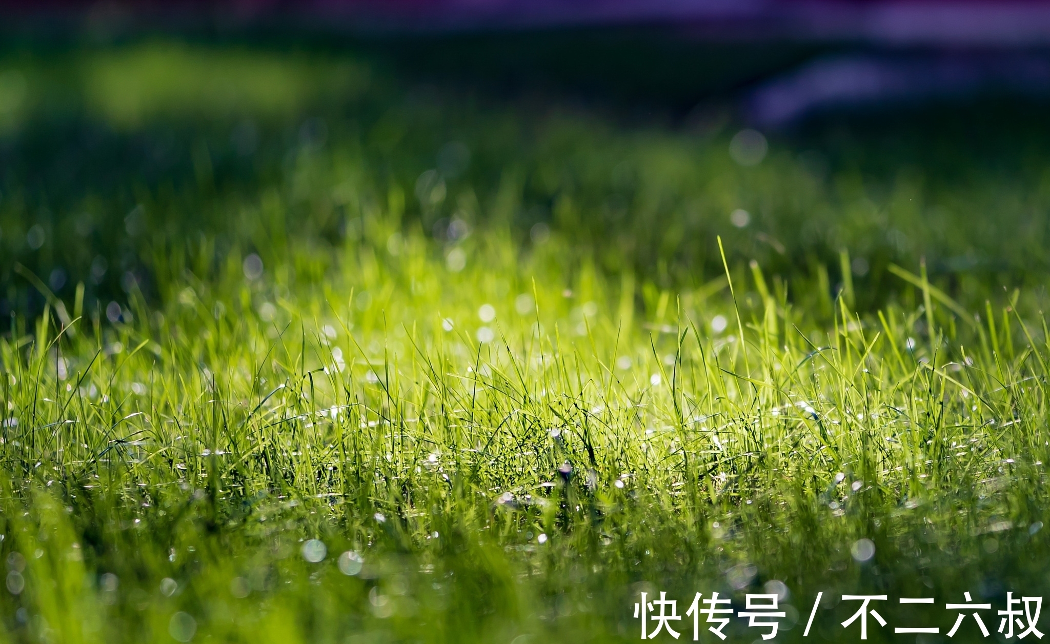 人道酬诚$人生,悟天道,知畏惧;悟人道,懂善良