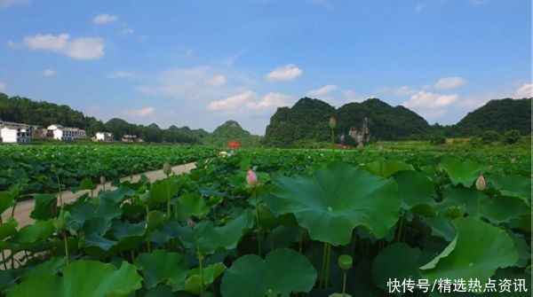 生态旅游|安顺普定县：打好生态旅游“牌”