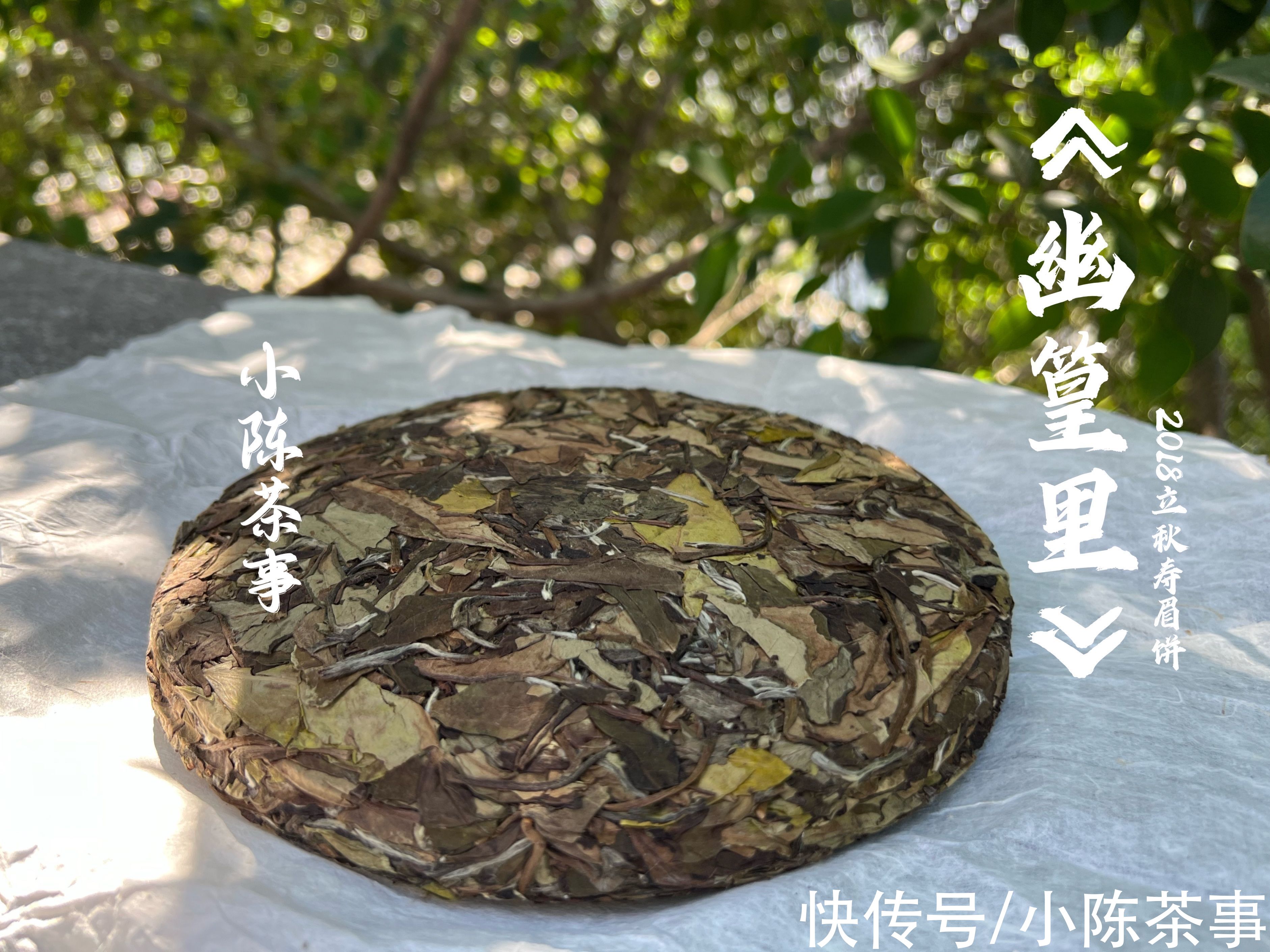 叶底#从茶器、茶叶到方法，完整的煮白茶指南教给你，真的很简单