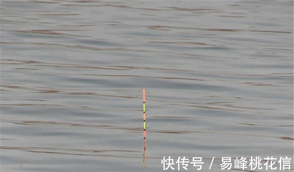 调漂找底后钓目忽高忽低,未必是水底不平,原因更可能是这些!