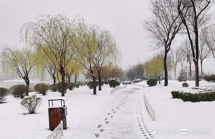 邢台|雪！雪！雪！聊城雪景大片来了，美翻天……