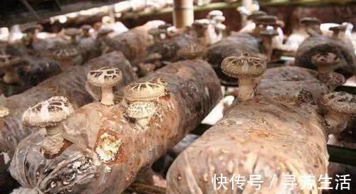 糖尿病|糖尿病要是不想一辈子吃药，那就多吃“它”，帮你告别胰岛素