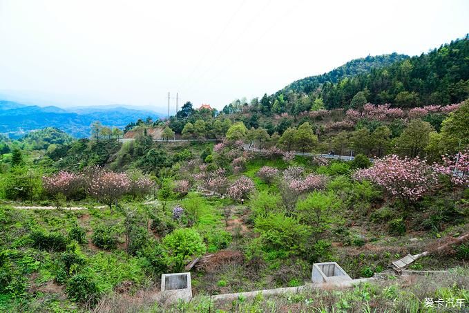 春日徒步旅行 探寻隐藏的小众秘境