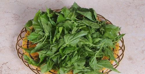 春季養(yǎng)生正當(dāng)時(shí)，推薦幾種食物，能夠增強(qiáng)食欲，改善睡眠