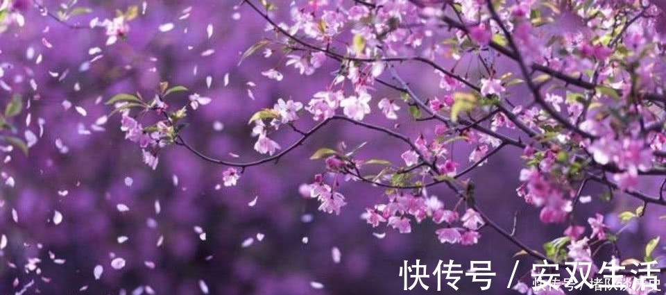 佳人#杜牧很深情的一首诗,虽然佳人早已离去,可依旧还在思念对方