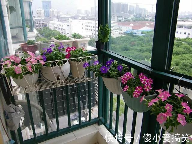 花园|3平米小阳台，也能变花园，有露台、阳台的千万别浪费！