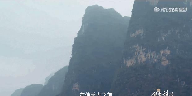 第二次夸了，这神仙国综怎么还没火