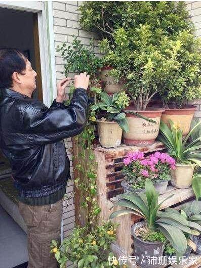 盆栽|老公阳台养盆栽,一家人看着乐开花,楼下邻居却天天找麻烦