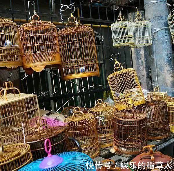 中年|撒糖!这些西安文旅CP你磕谁?